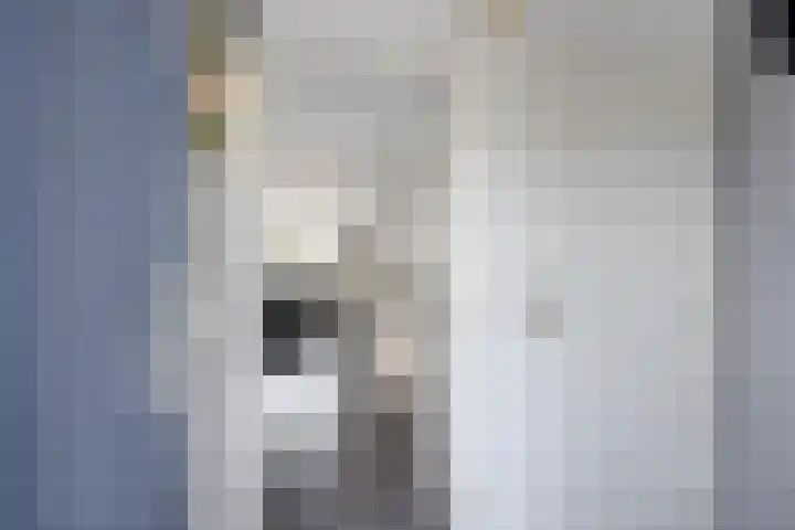 Armehoefstraat 2 Veldhoven thumbnail 8