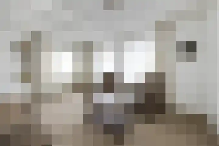 Armehoefstraat 3 Boxtel thumbnail 10