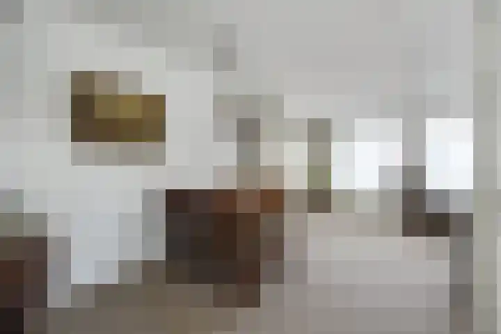 Armehoefstraat 3 Boxtel thumbnail 11