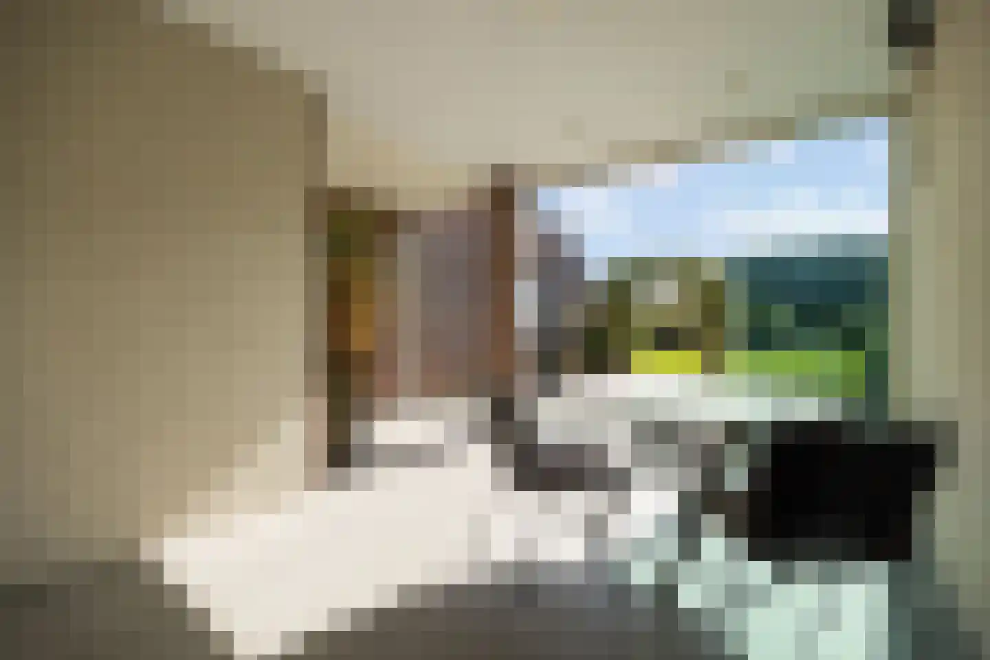 Armehoefstraat 3 Boxtel thumbnail 19