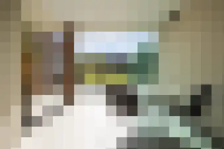 Armehoefstraat 3 Boxtel thumbnail 20