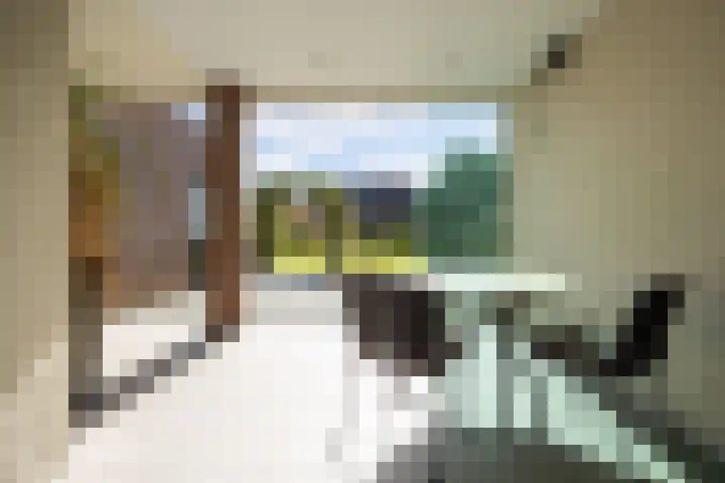 Armehoefstraat 3 Boxtel thumbnail 20