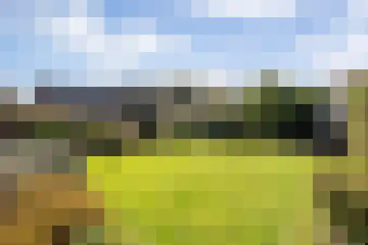 Armehoefstraat 3 Boxtel thumbnail 39
