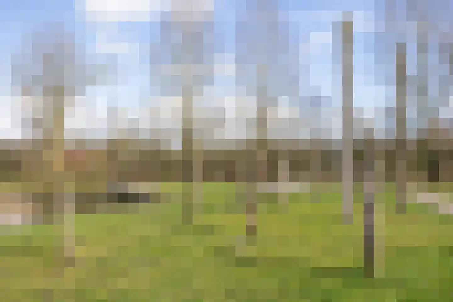 Armehoefstraat 3 Boxtel thumbnail 51