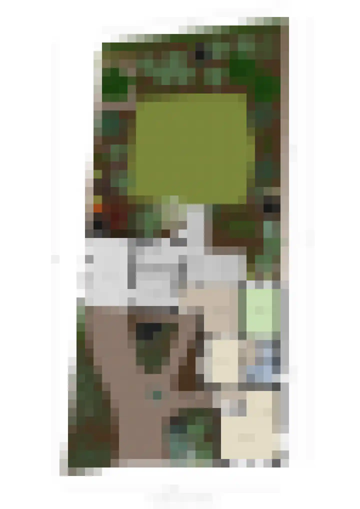 Armehoefstraat 3 Boxtel thumbnail 60