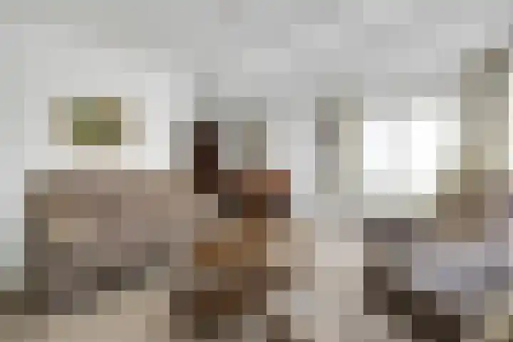 Armehoefstraat 3 Boxtel thumbnail 8