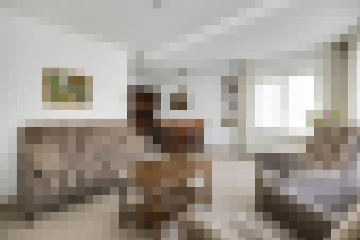 Armehoefstraat 3 Boxtel thumbnail 8