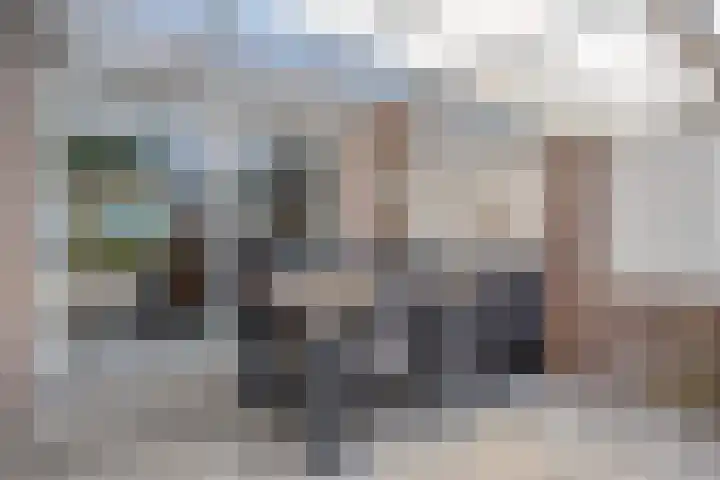 Armehoefstraat 38 Veldhoven thumbnail 28