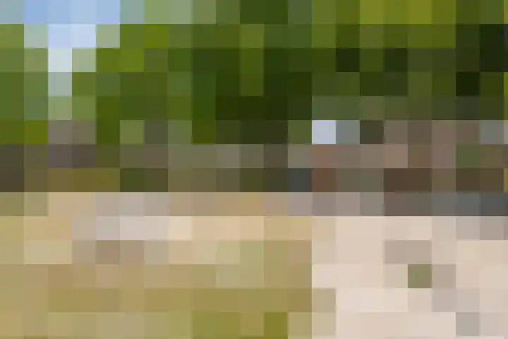 Armehoefstraat 38 Veldhoven thumbnail 31