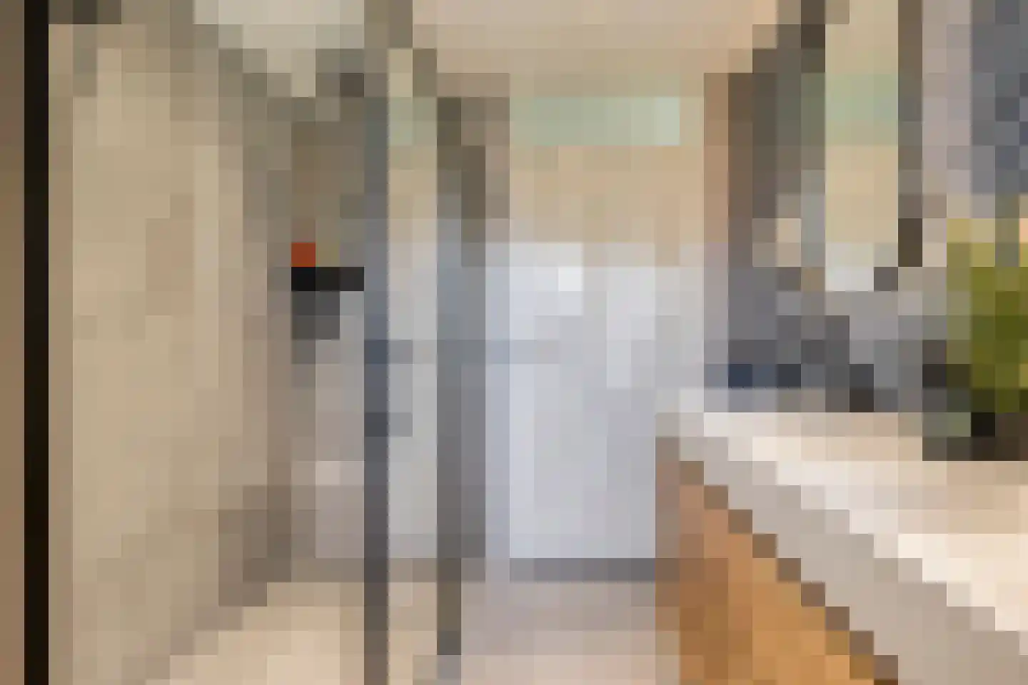 Armehoefstraat 8 Veldhoven thumbnail 22