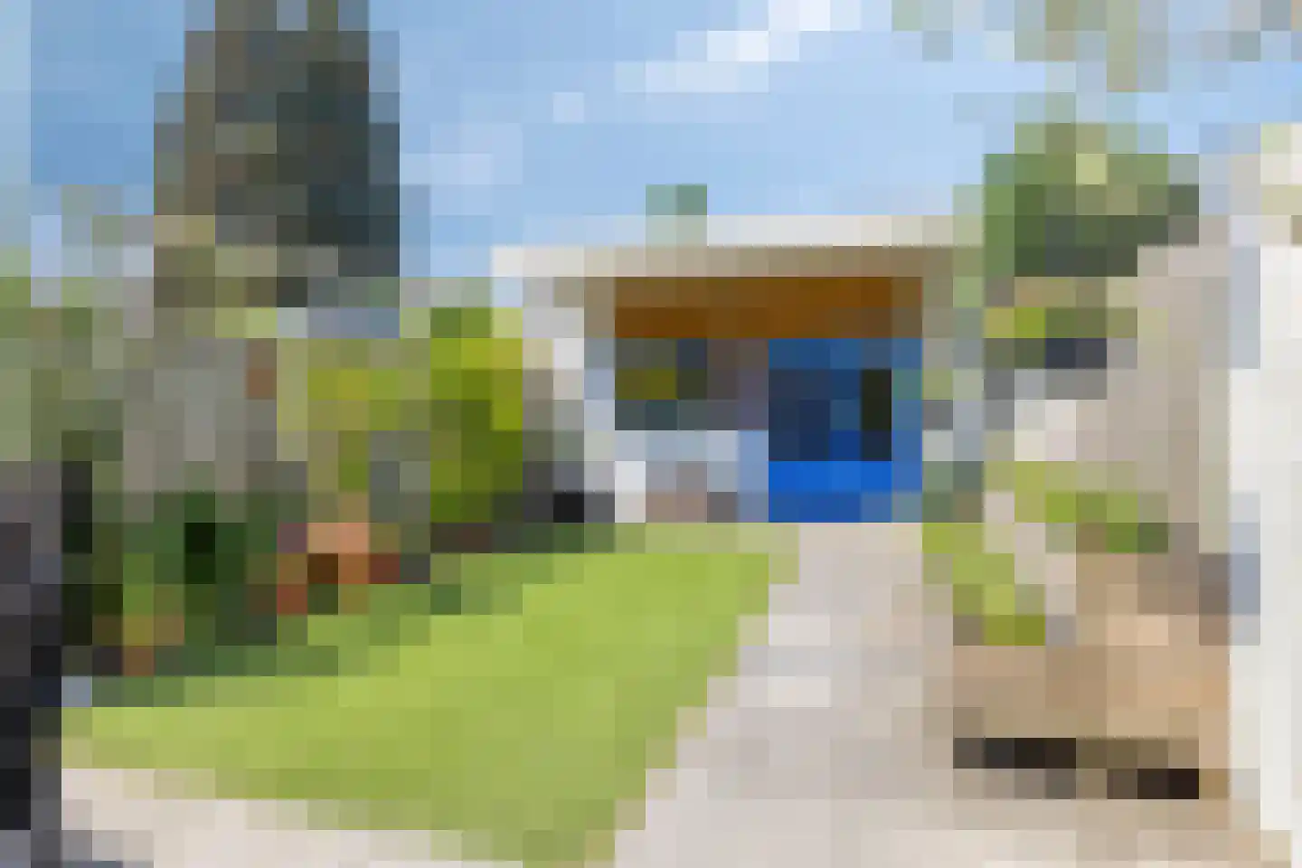 Armehoefstraat 8 Veldhoven thumbnail 28