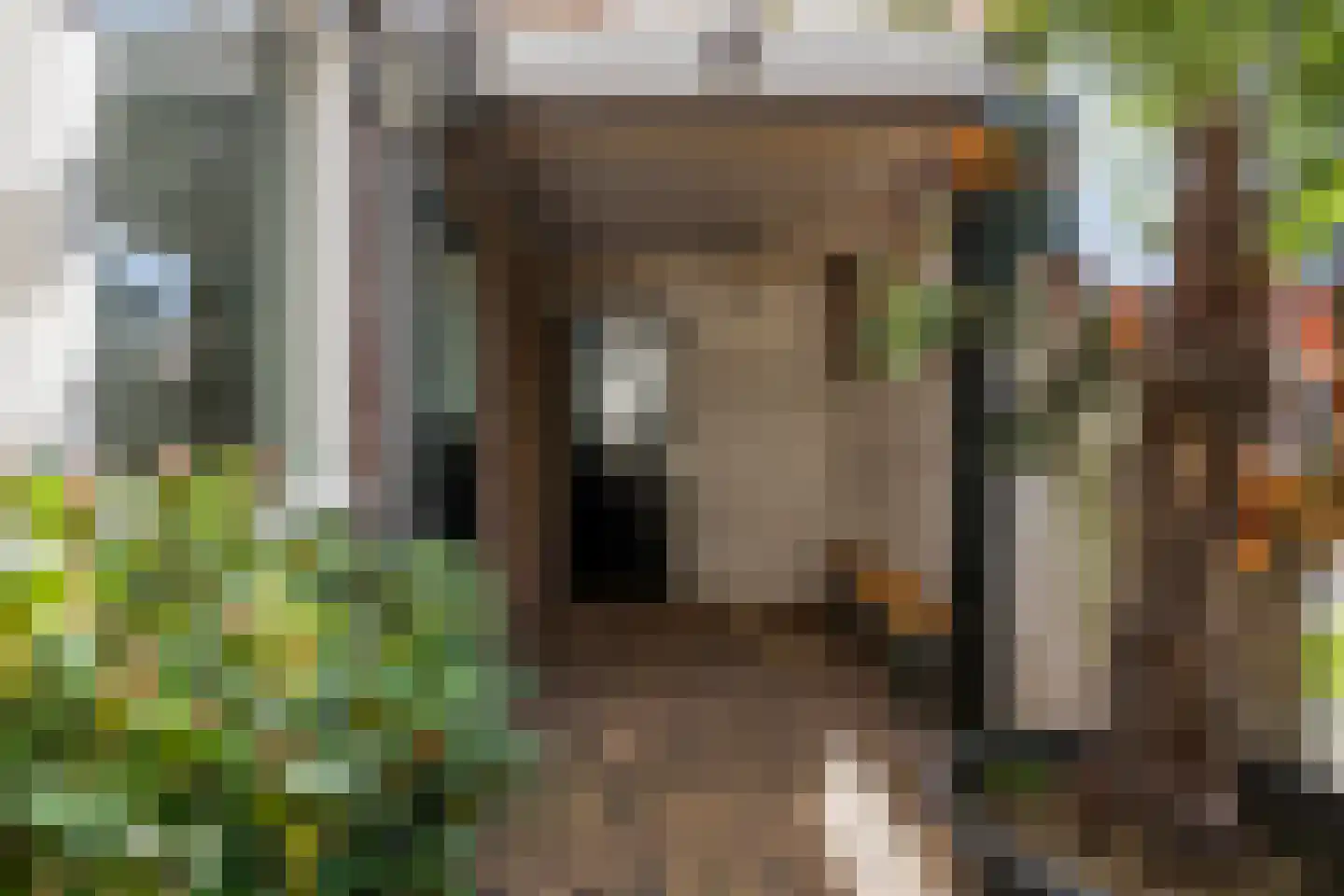 Armhoefstraat 2 Tilburg thumbnail 44