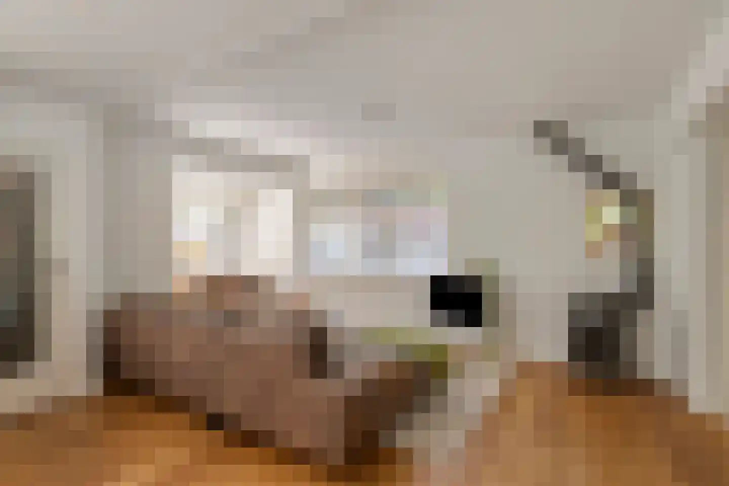 Armhoefstraat 2 Tilburg thumbnail 5