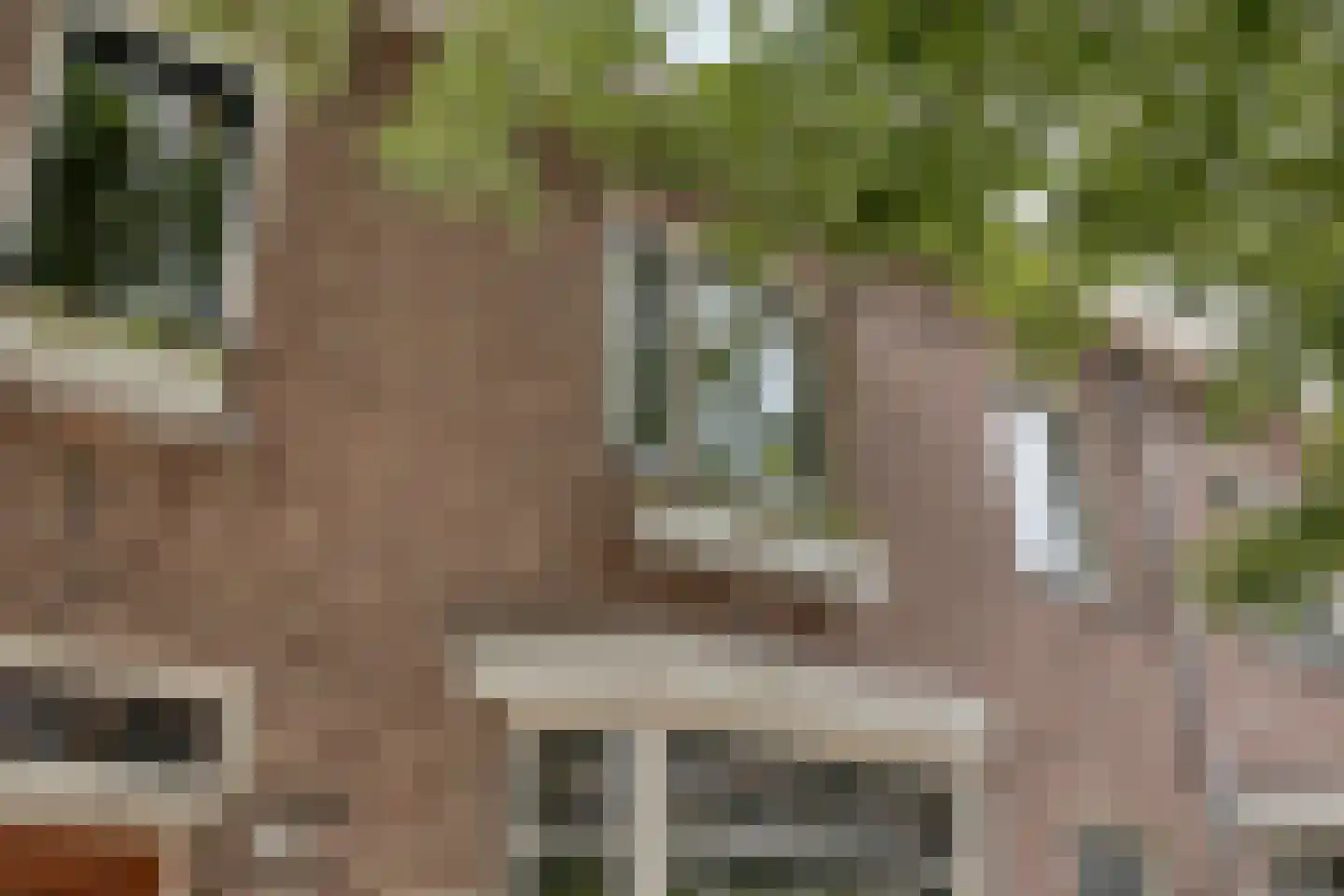 Armhoefstraat 24 Tilburg thumbnail 47