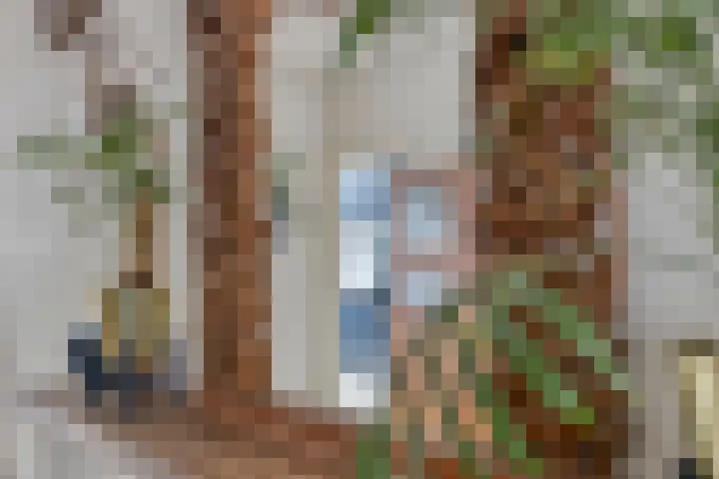 Armhoefstraat 24 Tilburg thumbnail 6