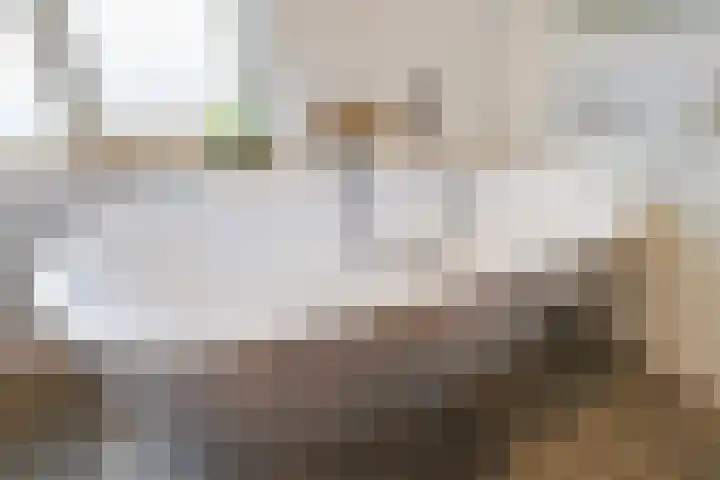 Armhoefstraat 42 Tilburg thumbnail 40