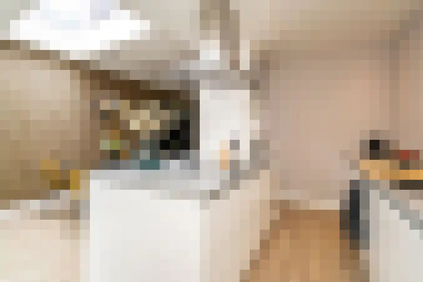 Armhoefstraat 43 Tilburg thumbnail 15