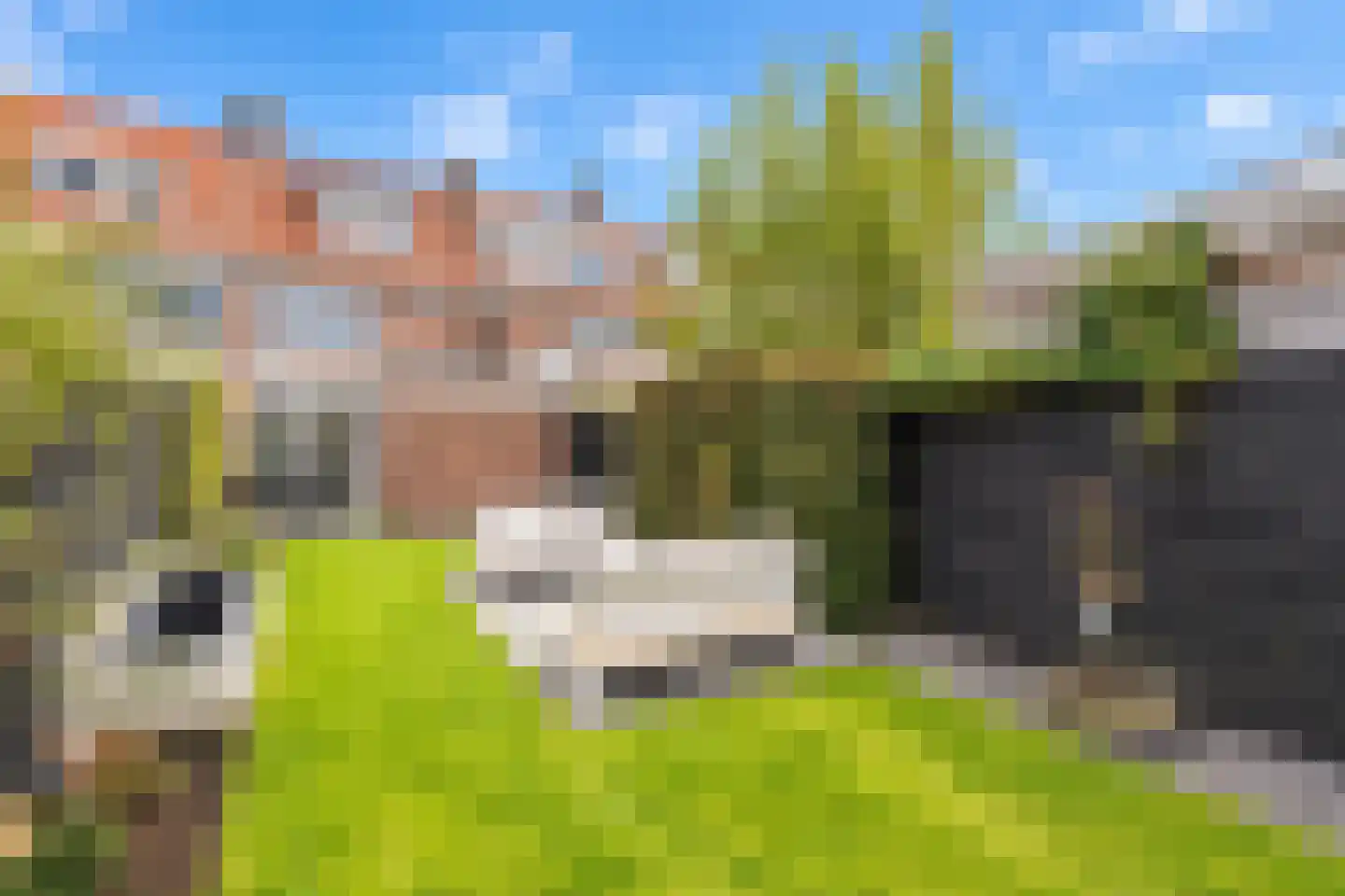 Armhoefstraat 43 Tilburg thumbnail 34