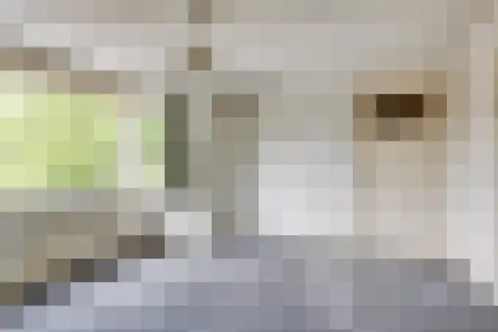 Armhoefstraat 6 Tilburg thumbnail 15
