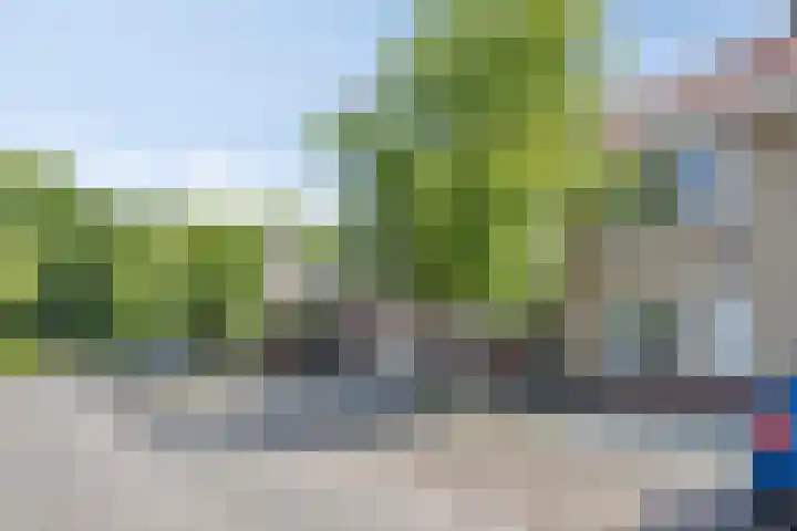 Armhoefstraat 6 Tilburg thumbnail 31