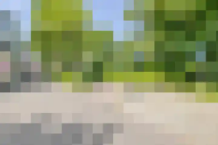 Armhoefstraat 6 Tilburg thumbnail 33