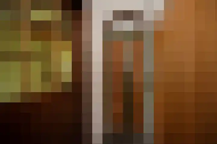 Arminiusplein 7 Oudewater thumbnail 4