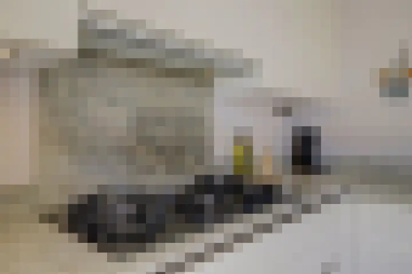 Armstrongerf 18 Melick thumbnail 17