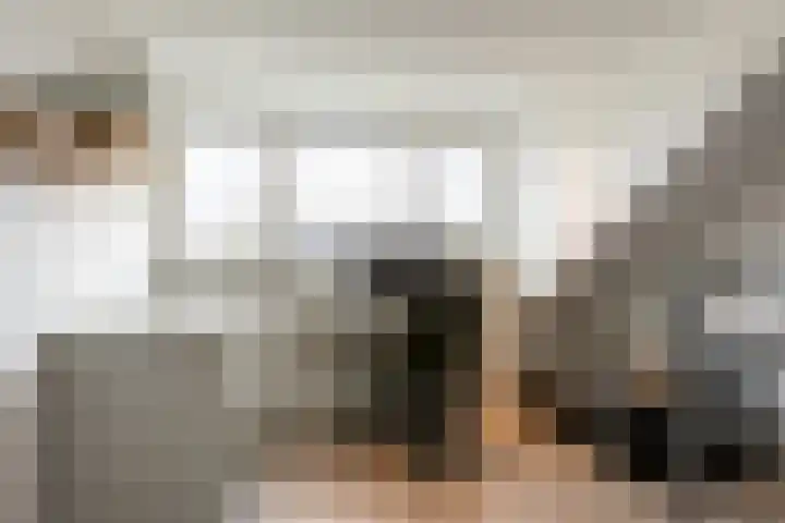 Armstronglaan 21 Reeuwijk thumbnail 46