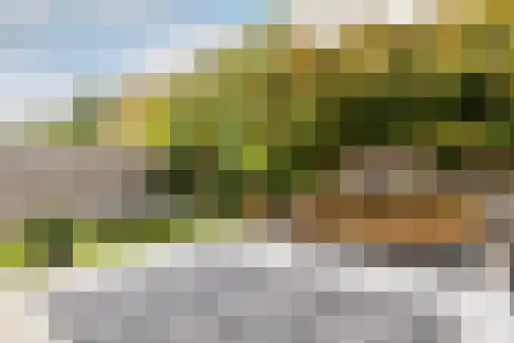 Armstronglaan 21 Reeuwijk thumbnail 58