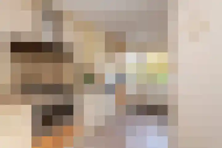 Armstrongstraat 2 Hilvarenbeek thumbnail 13