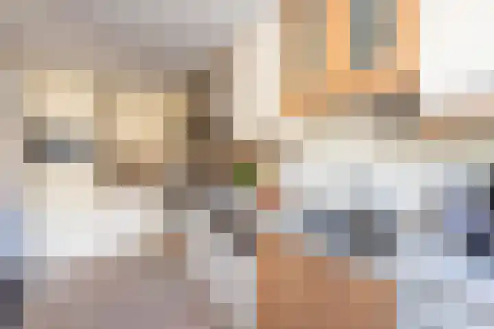 Armstrongstraat 2 Hilvarenbeek thumbnail 14
