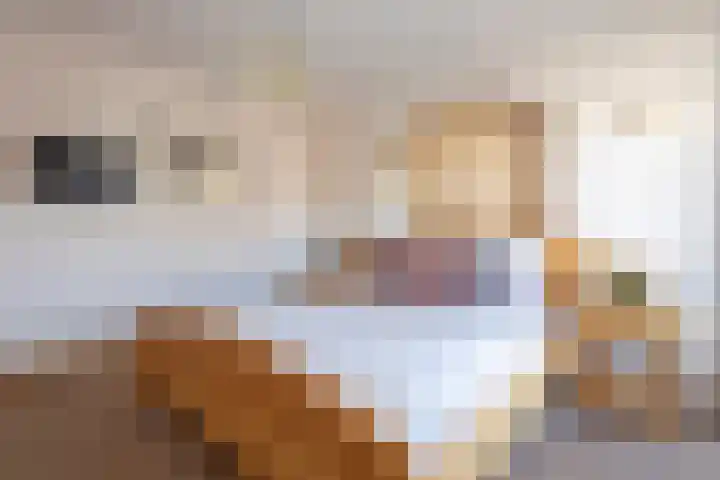 Armstrongstraat 2 Hilvarenbeek thumbnail 18