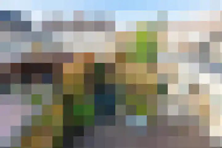 Armstrongstraat 2 Hilvarenbeek thumbnail 21