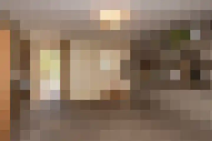Armstrongstraat 2 Hilvarenbeek thumbnail 40