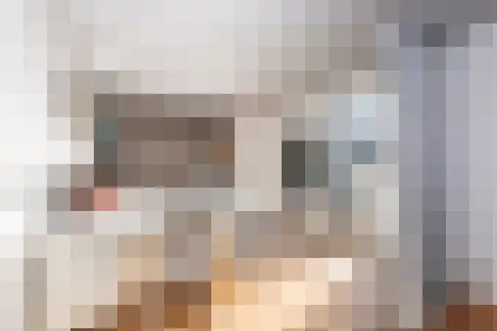 Armstrongstraat 2 Hilvarenbeek thumbnail 43