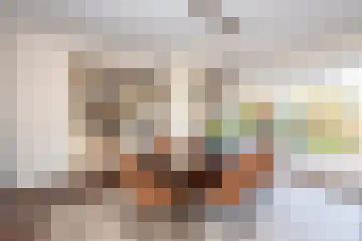 Armstrongstraat 2 Hilvarenbeek thumbnail 9