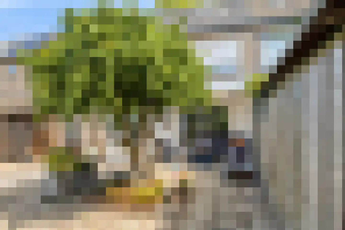 Armstrongstraat 30 Loon op Zand thumbnail 25