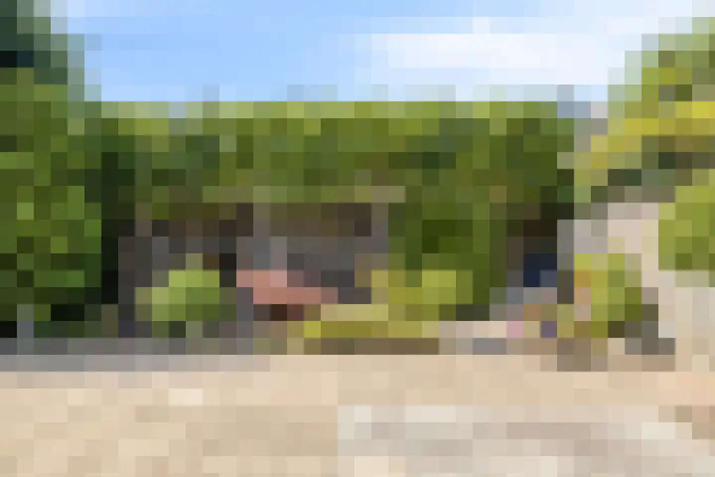 Armstrongstraat 30 Loon op Zand thumbnail 28