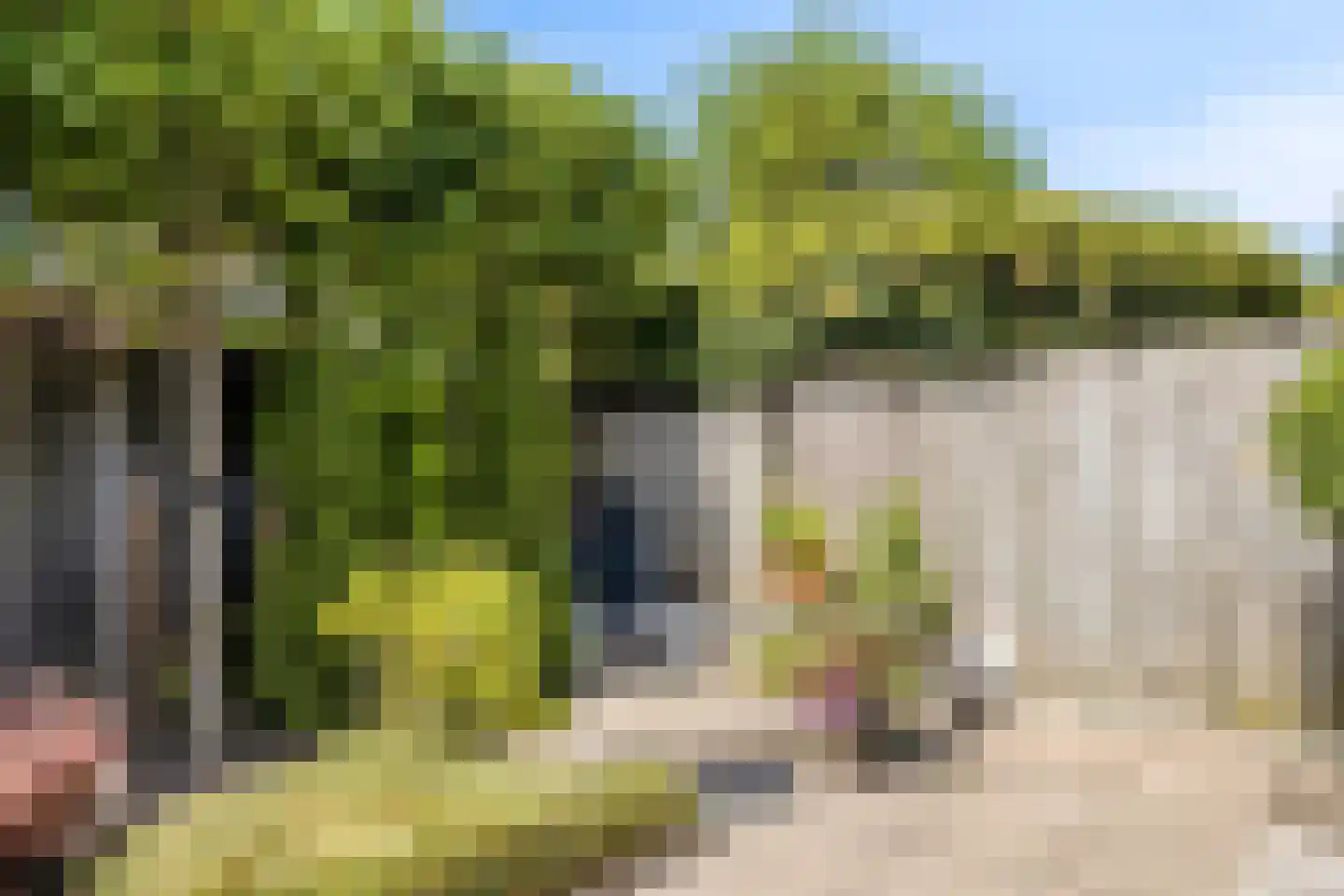 Armstrongstraat 30 Loon op Zand thumbnail 29