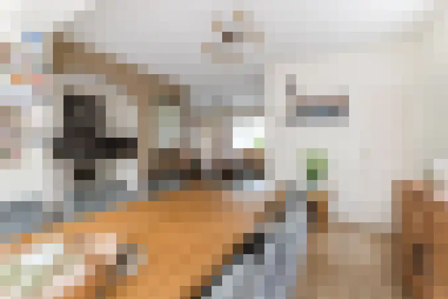 Armstrongstraat 4 Hilvarenbeek thumbnail 10