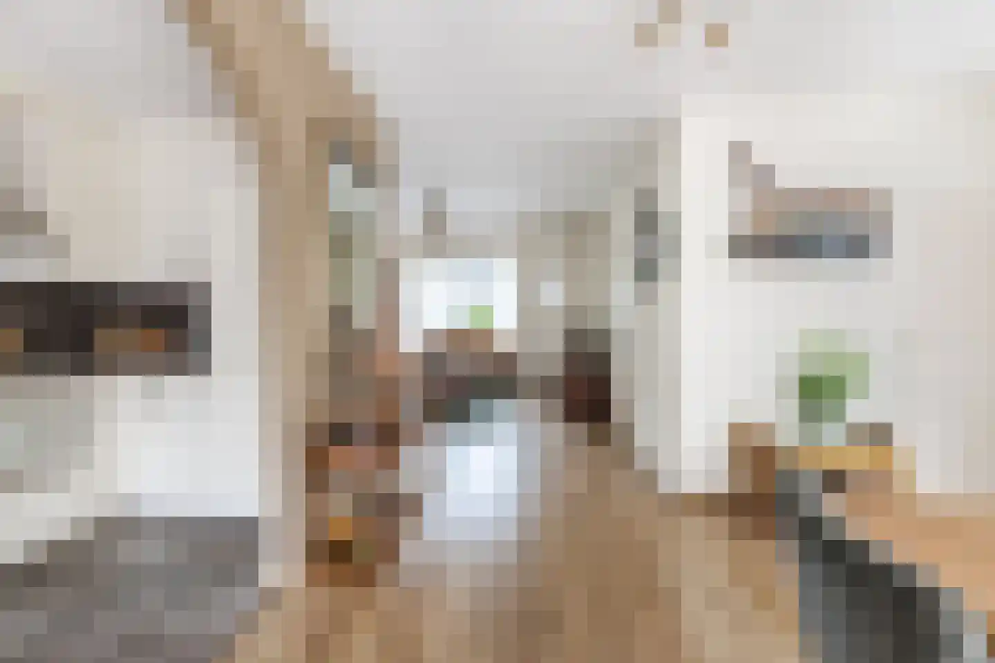 Armstrongstraat 4 Hilvarenbeek thumbnail 10