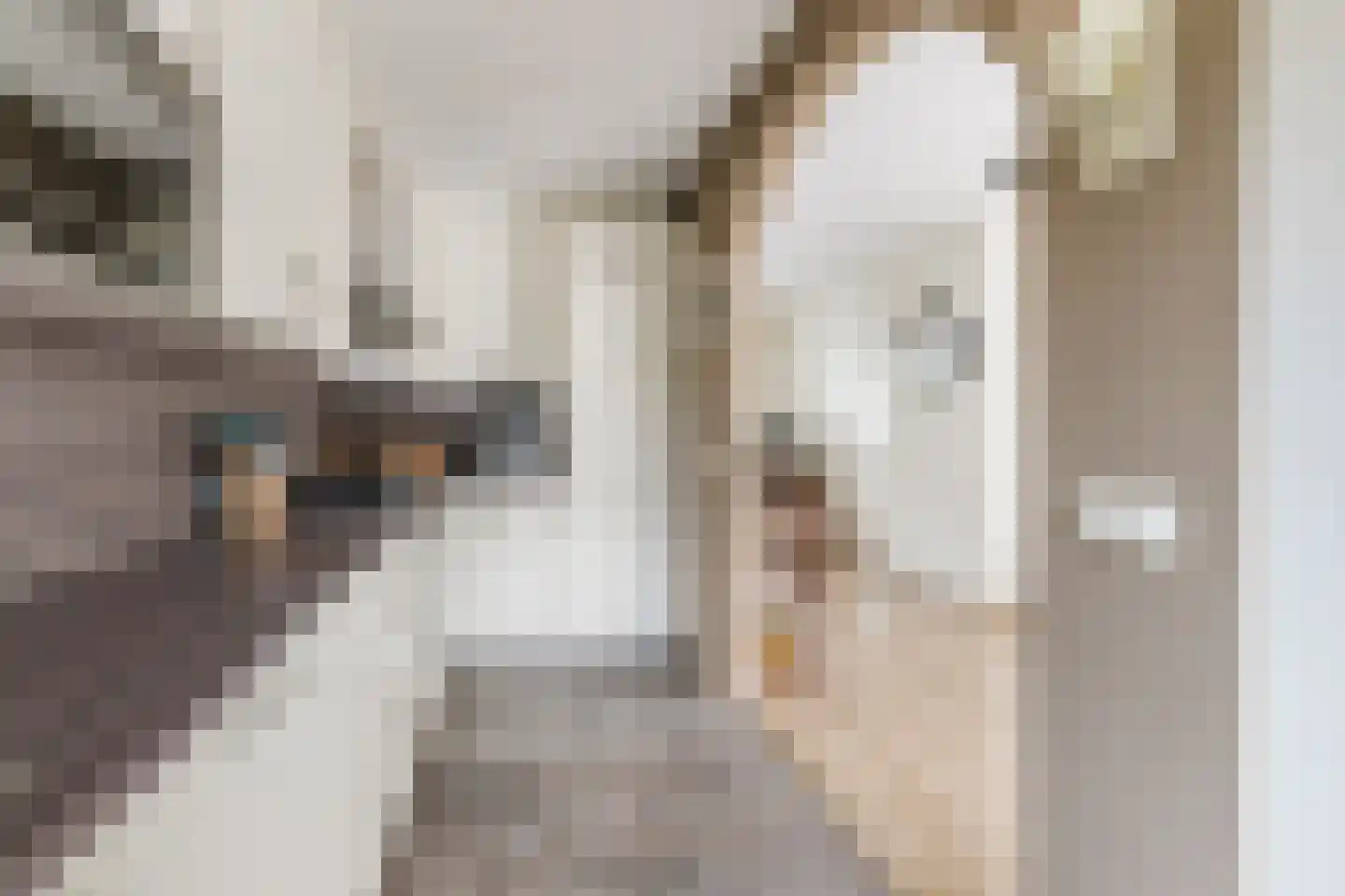 Armstrongstraat 4 Hilvarenbeek thumbnail 12