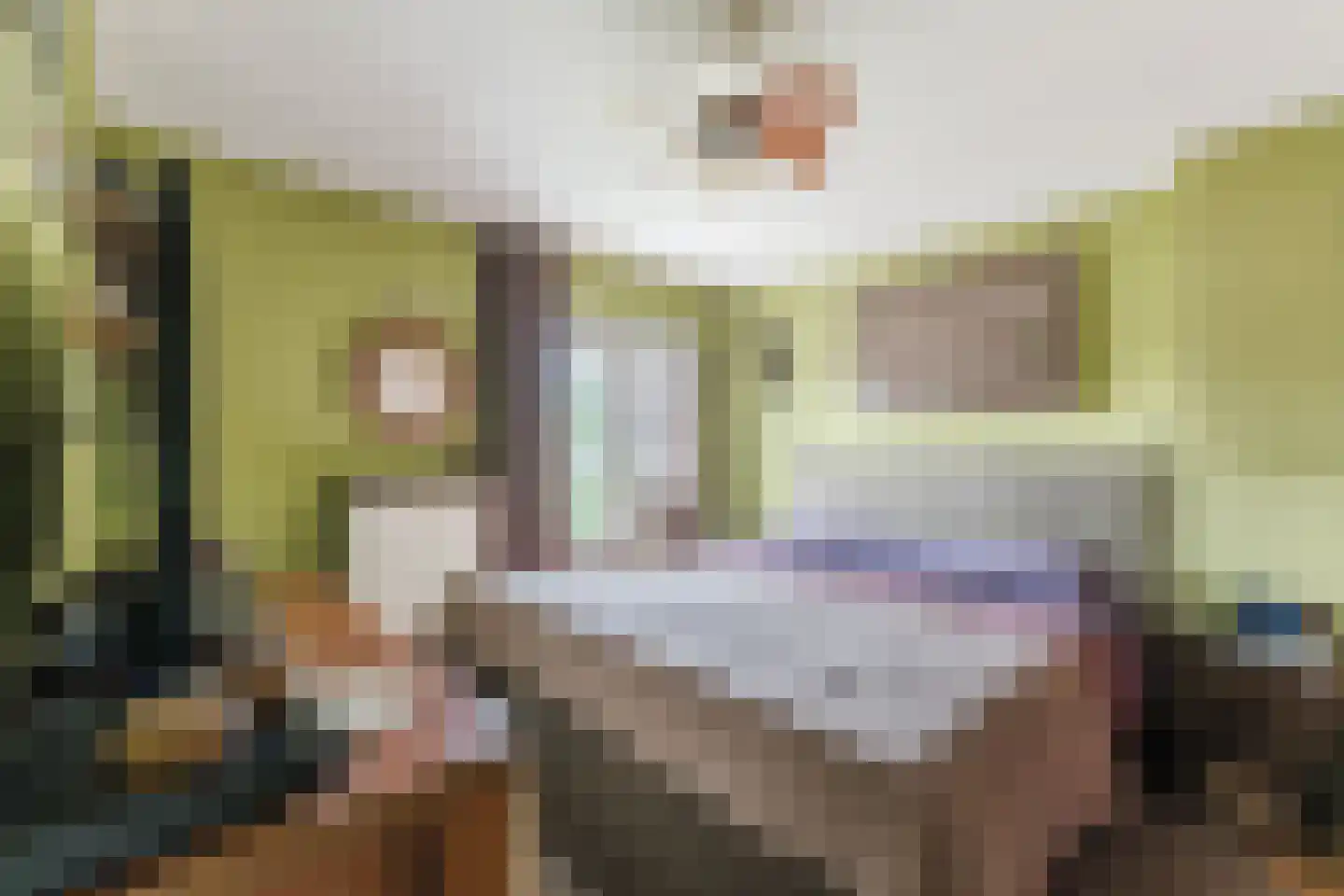 Armstrongstraat 4 Hilvarenbeek thumbnail 15