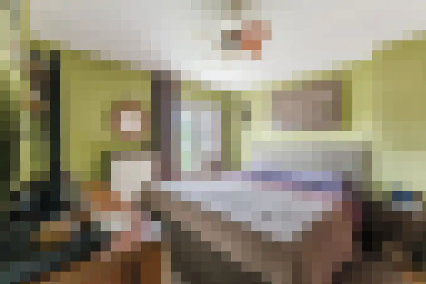 Armstrongstraat 4 Hilvarenbeek thumbnail 16