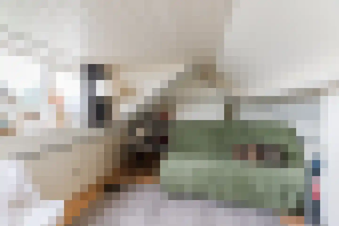 Armstrongstraat 4 Hilvarenbeek thumbnail 25