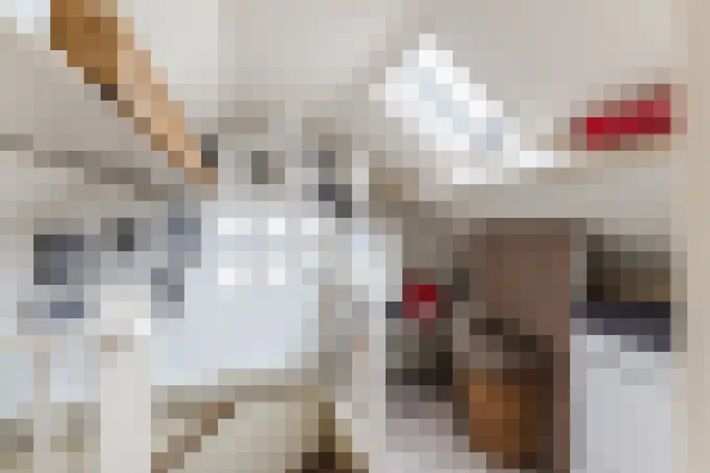 Armstrongstraat 4 Hilvarenbeek thumbnail 27