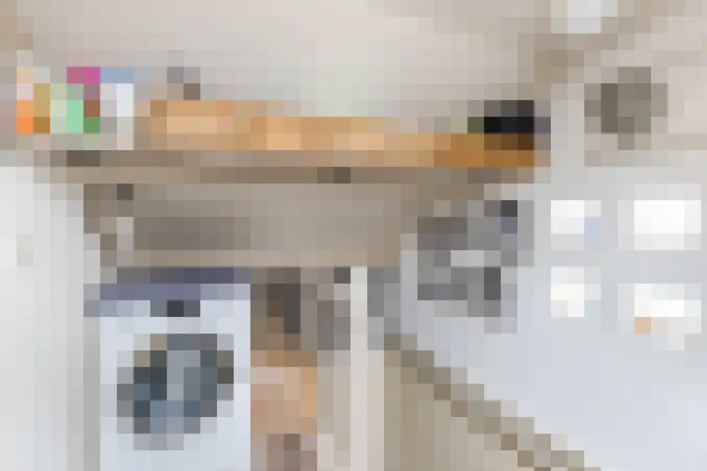 Armstrongstraat 4 Hilvarenbeek thumbnail 28