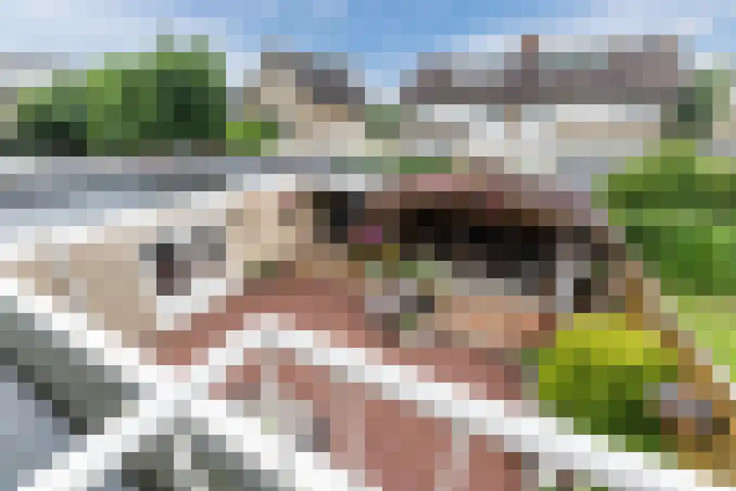 Armstrongstraat 4 Hilvarenbeek thumbnail 30