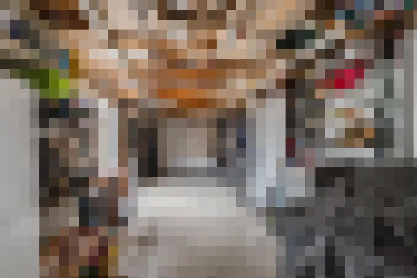 Armstrongstraat 4 Hilvarenbeek thumbnail 35