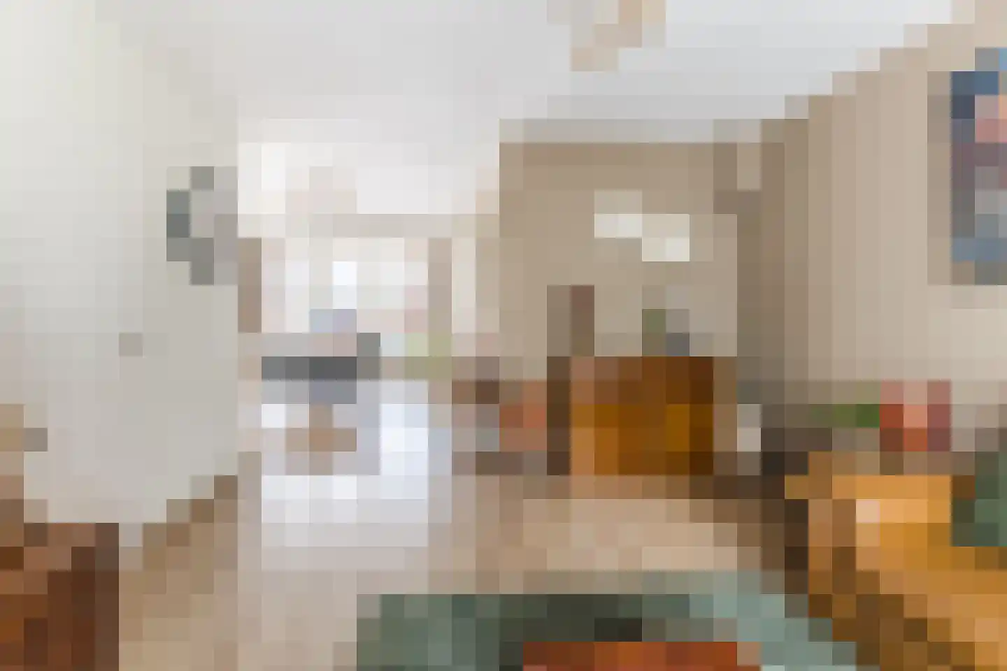 Armstrongstraat 4 Hilvarenbeek thumbnail 5